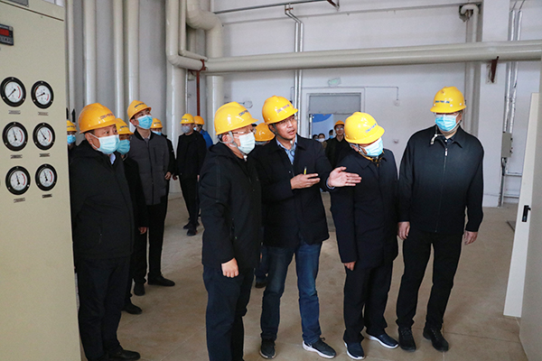 1635473150309764.jpg 05.JPG