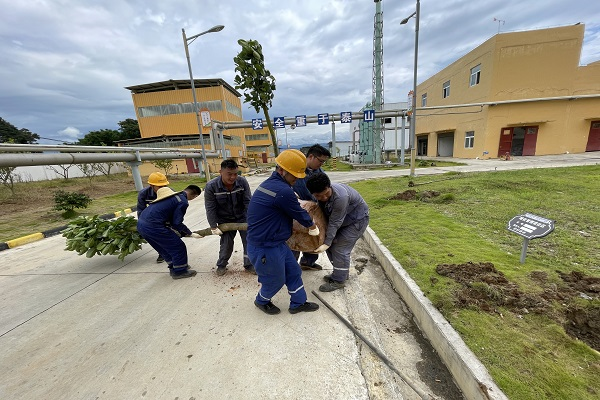 1659402637603847.png 圖片18.png